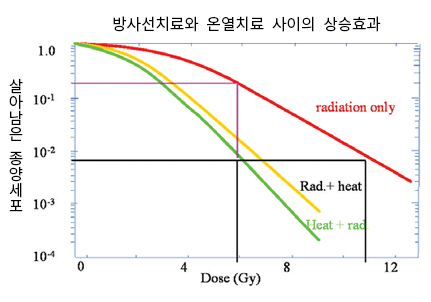 방사선치료와 온열치료 사이의 상승효과 그래프