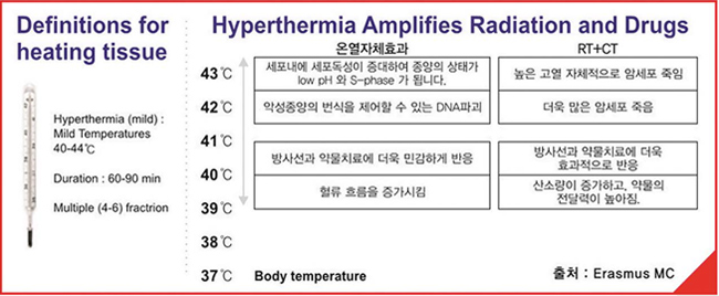 고주파온열암치료를 방사선치료, 또는 항암치료와 병행시 확대(증가)되는 신체 온도별 치료효과 예시