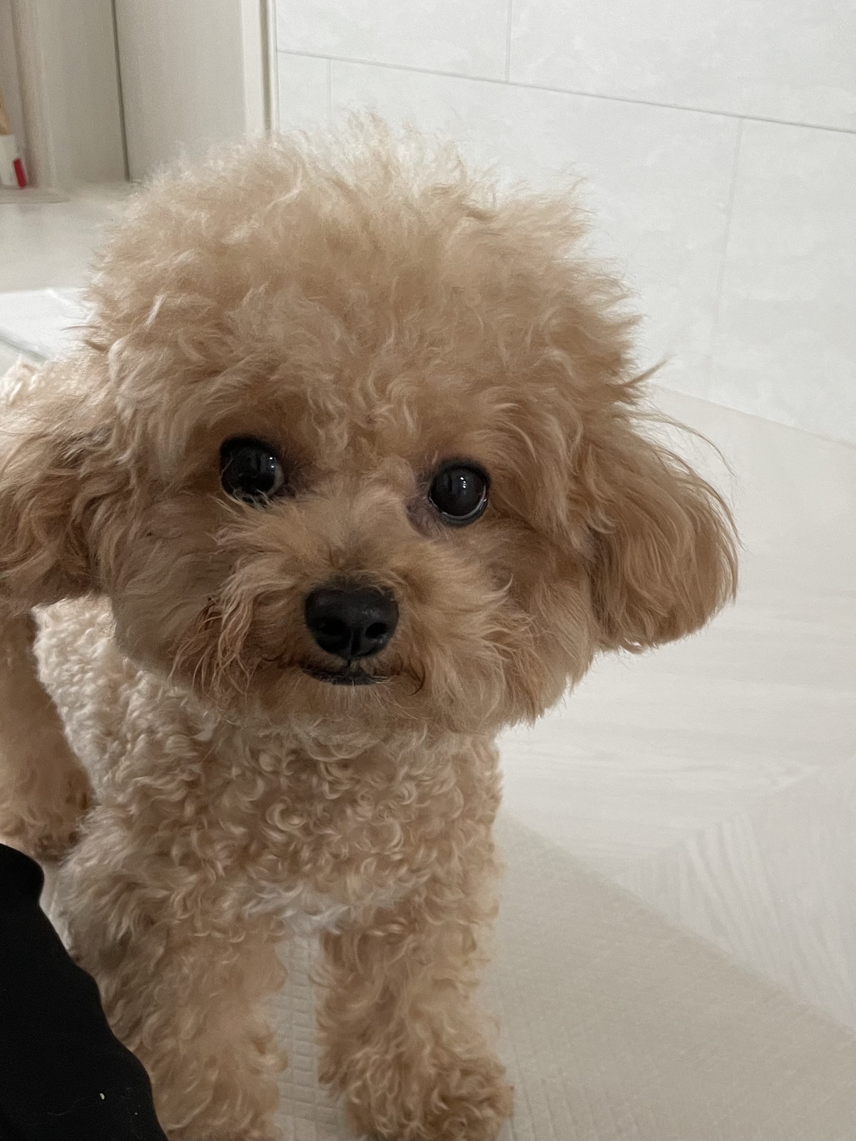 잔디3